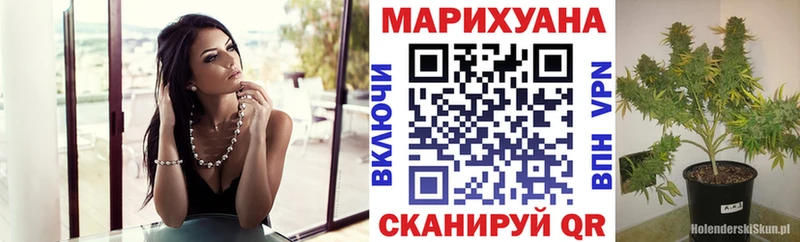 Канабис план Удомля